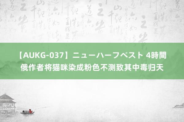 【AUKG-037】ニューハーフベスト 4時間 俄作者将猫咪染成粉色不测致其中毒归天