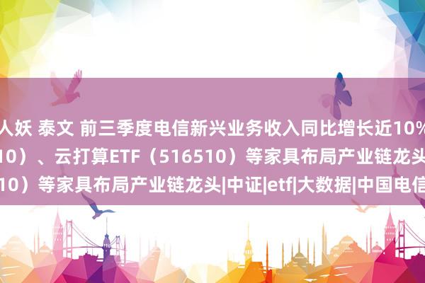 人妖 泰文 前三季度电信新兴业务收入同比增长近10%，电信ETF（563010）、云打算ETF（516510）等家具布局产业链龙头|中证|etf|大数据|中国电信