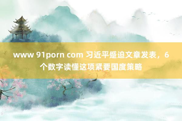 www 91porn com 习近平蹙迫文章发表，6个数字读懂这项紧要国度策略