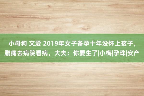 小母狗 文爱 2019年女子备孕十年没怀上孩子，腹痛去病院看病，大夫：你要生了|小梅|孕珠|安产