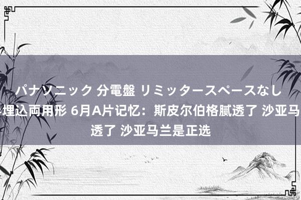 パナソニック 分電盤 リミッタースペースなし 露出・半埋込両用形 6月A片记忆：斯皮尔伯格腻透了 沙亚马兰是正选