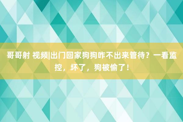 哥哥射 视频|出门回家狗狗咋不出来管待？一看监控，坏了，狗被偷了！