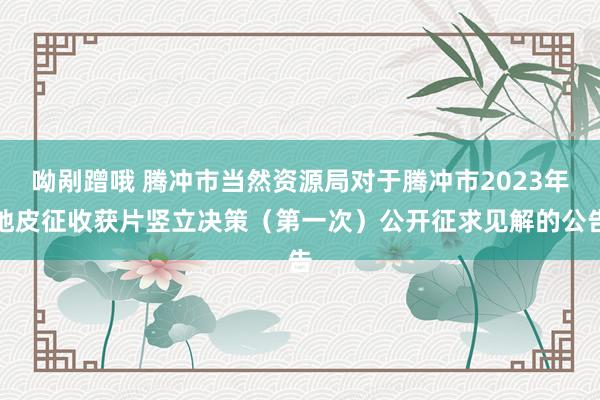 呦剐蹭哦 腾冲市当然资源局对于腾冲市2023年地皮征收获片竖立决策（第一次）公开征求见解的公告