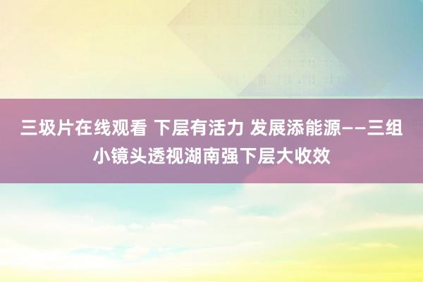 三圾片在线观看 下层有活力 发展添能源——三组小镜头透视湖南强下层大收效