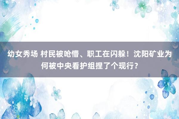 幼女秀场 村民被呛懵、职工在闪躲！沈阳矿业为何被中央看护组捏了个现行？