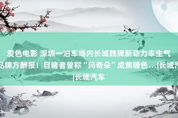 爱色电影 深圳一泊车场内长城魏牌新动力车生气，品牌方酬报！目睹者曾称“玛奇朵”成焦糖色…|长城汽车